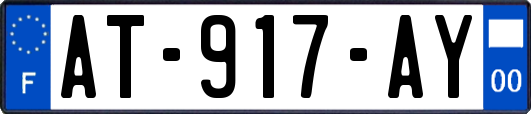 AT-917-AY