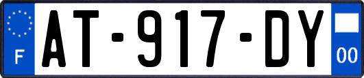 AT-917-DY