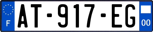 AT-917-EG