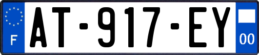 AT-917-EY
