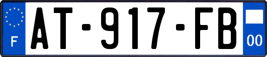 AT-917-FB