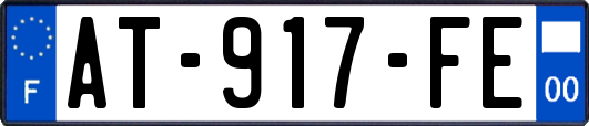 AT-917-FE
