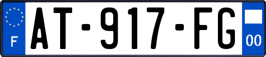 AT-917-FG