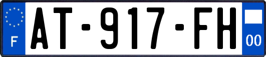 AT-917-FH