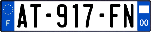 AT-917-FN