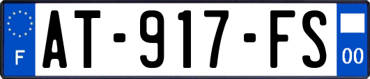 AT-917-FS
