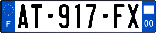 AT-917-FX