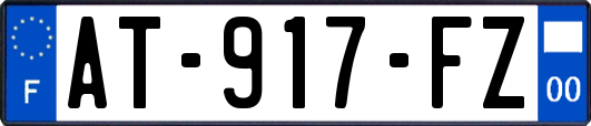 AT-917-FZ