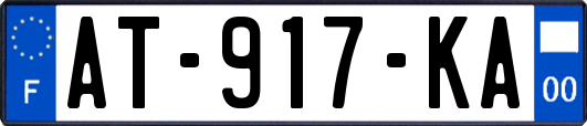 AT-917-KA