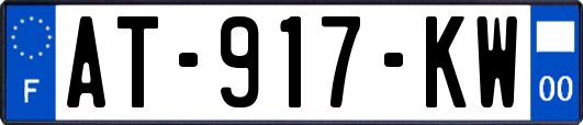 AT-917-KW