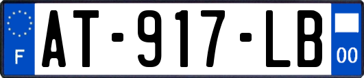 AT-917-LB