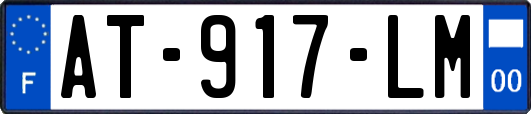 AT-917-LM