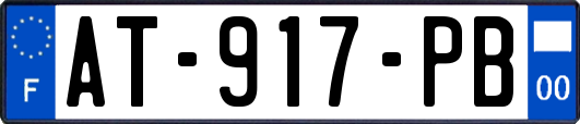 AT-917-PB
