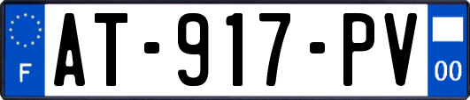 AT-917-PV