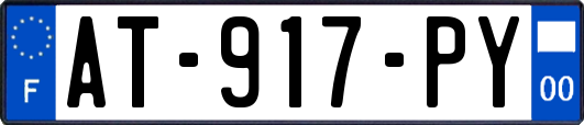 AT-917-PY