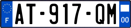AT-917-QM