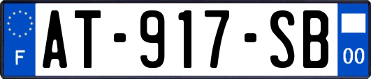 AT-917-SB