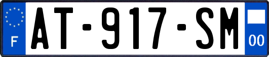 AT-917-SM