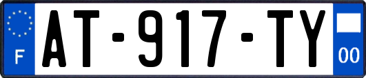 AT-917-TY