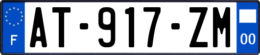 AT-917-ZM