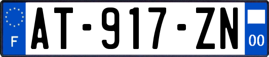 AT-917-ZN