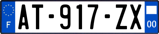 AT-917-ZX