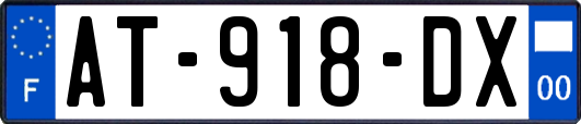 AT-918-DX