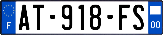 AT-918-FS