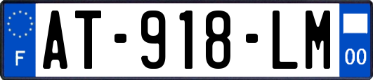 AT-918-LM