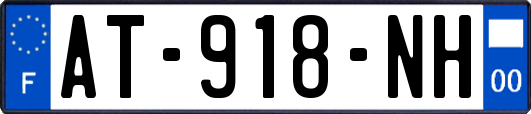 AT-918-NH