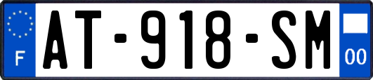 AT-918-SM