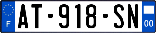 AT-918-SN