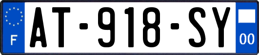AT-918-SY