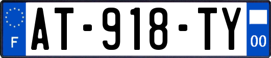 AT-918-TY