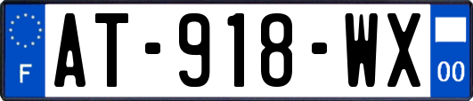 AT-918-WX