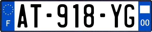 AT-918-YG