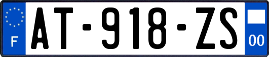 AT-918-ZS