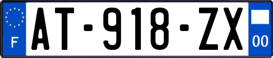 AT-918-ZX