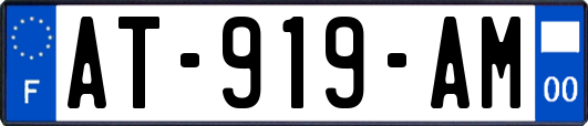 AT-919-AM