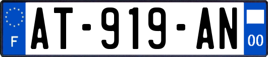 AT-919-AN