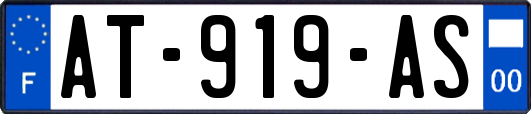 AT-919-AS