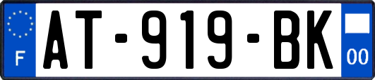 AT-919-BK
