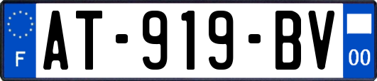 AT-919-BV
