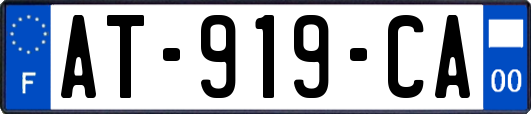AT-919-CA