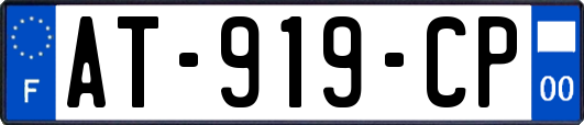 AT-919-CP