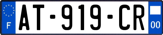 AT-919-CR
