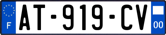 AT-919-CV