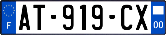 AT-919-CX
