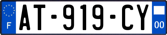 AT-919-CY