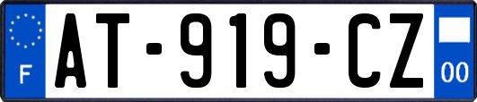 AT-919-CZ
